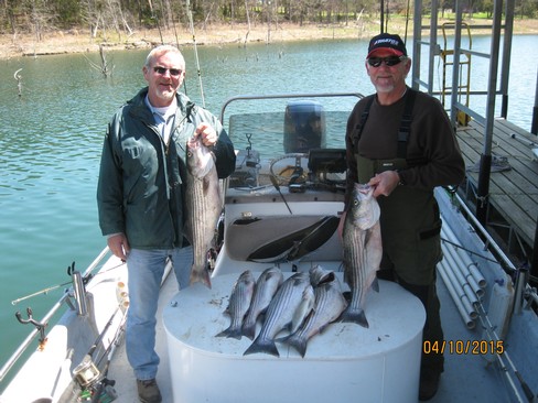 Nice Striped Bass